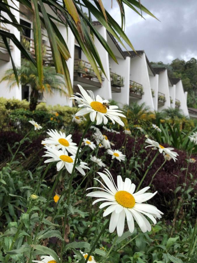 Hotel Ladera Boquete Eksteriør bilde